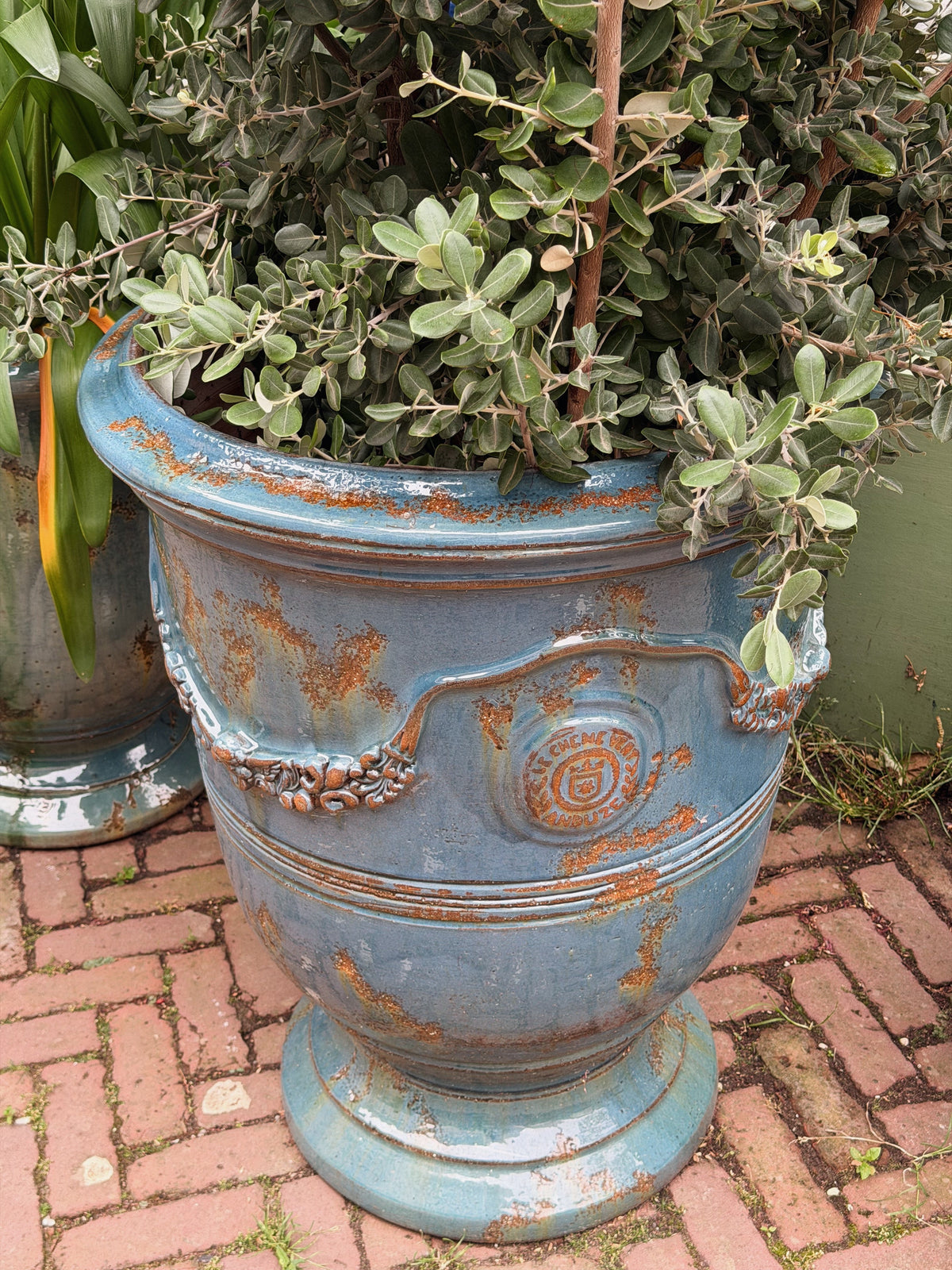Detail van het ronde medaillon met opschrift op de blauwe pot, met zilvergrijze heester erin