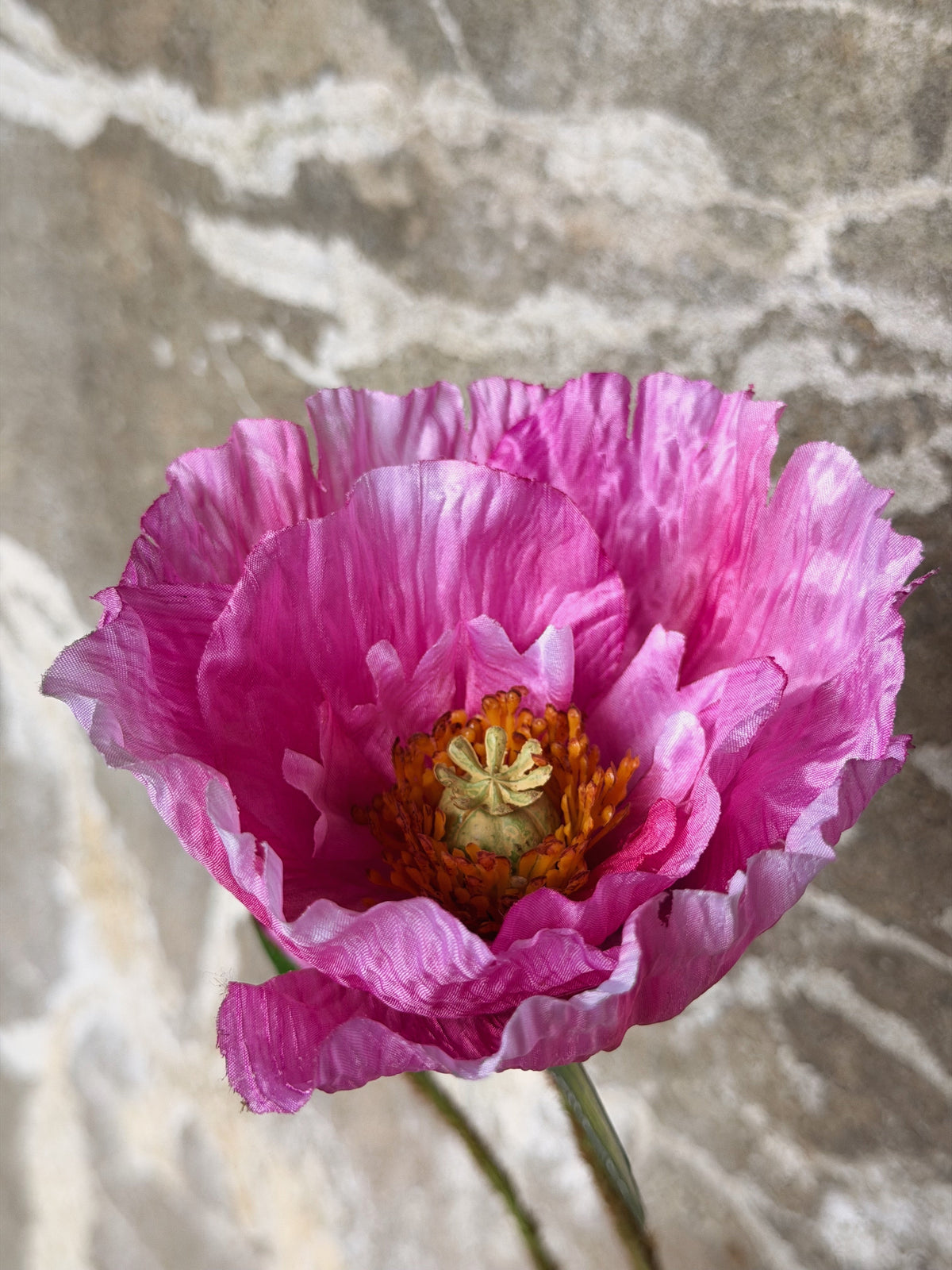 Bovenaanzicht in het hart van de roze klaproos: oranje meeldraden rond een groenwitte zaaddoos