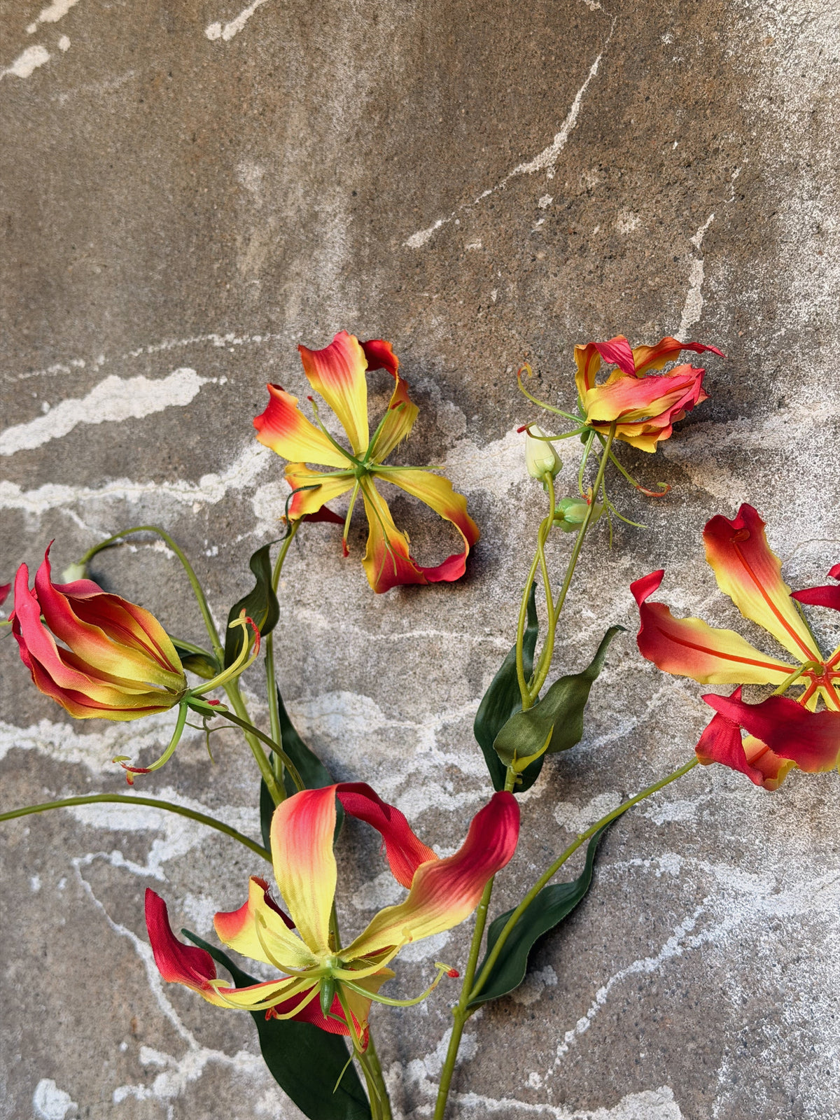 Bovenkant van de tak van dichtbij: open bloemen, een gesloten knop en spitse groene bladeren