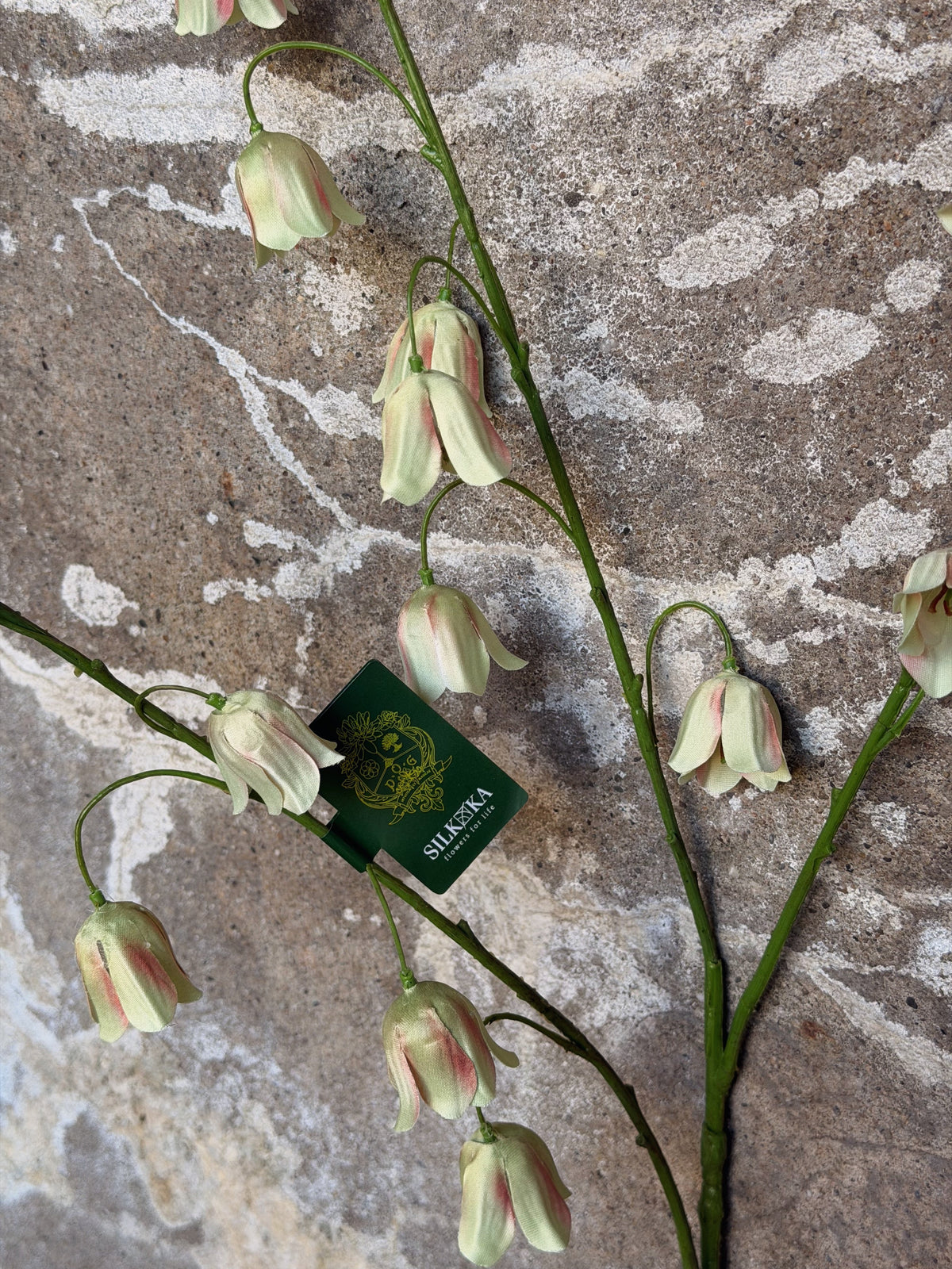 Close-up van de hangende klokjes met roze blos en het groene Silk-ka-label aan de steel