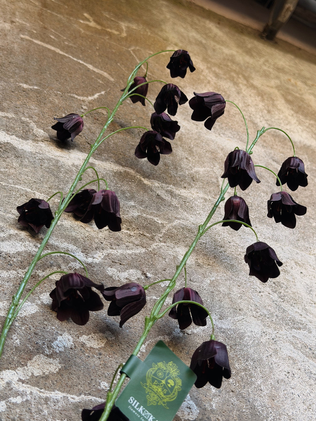 Detailopname van de donkere klokbloemen met een groen hanglabel aan de onderste steel