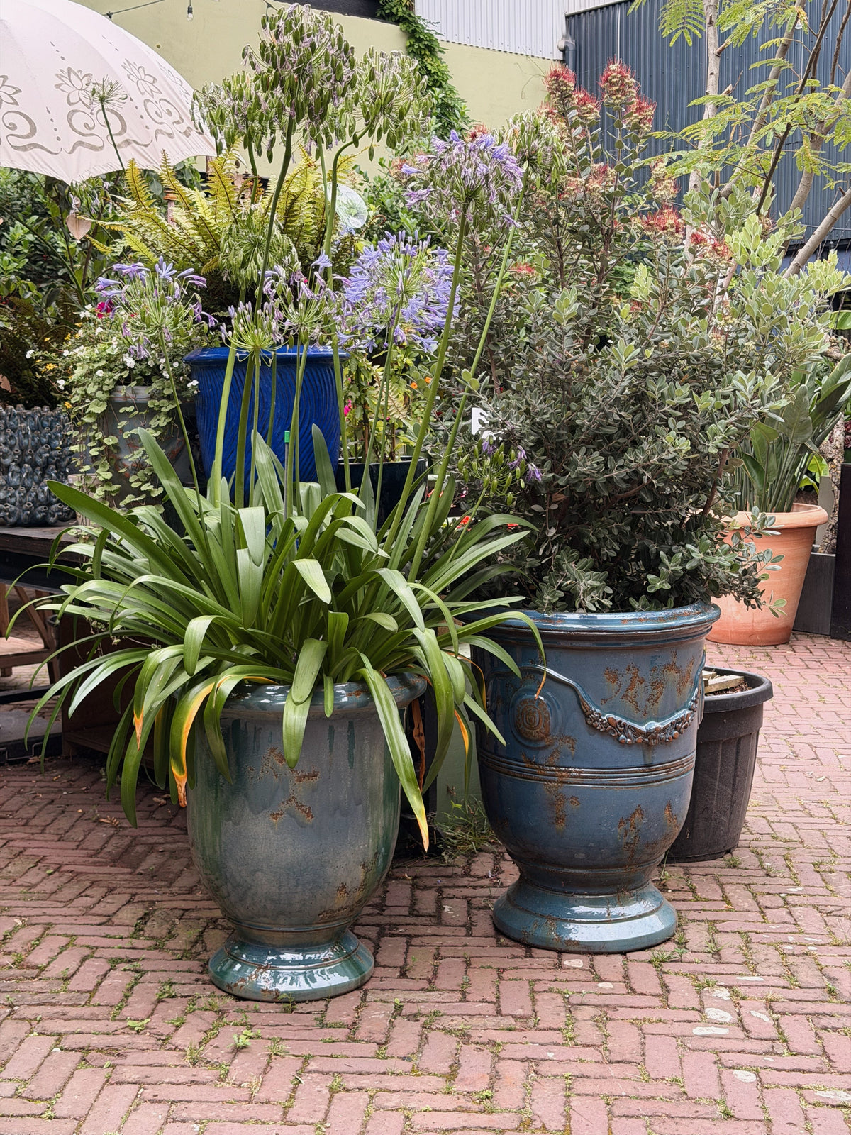 Twee geglazuurde Anduze-vazen in groen en blauw op klinkers, beplant met agapanthus en een heester