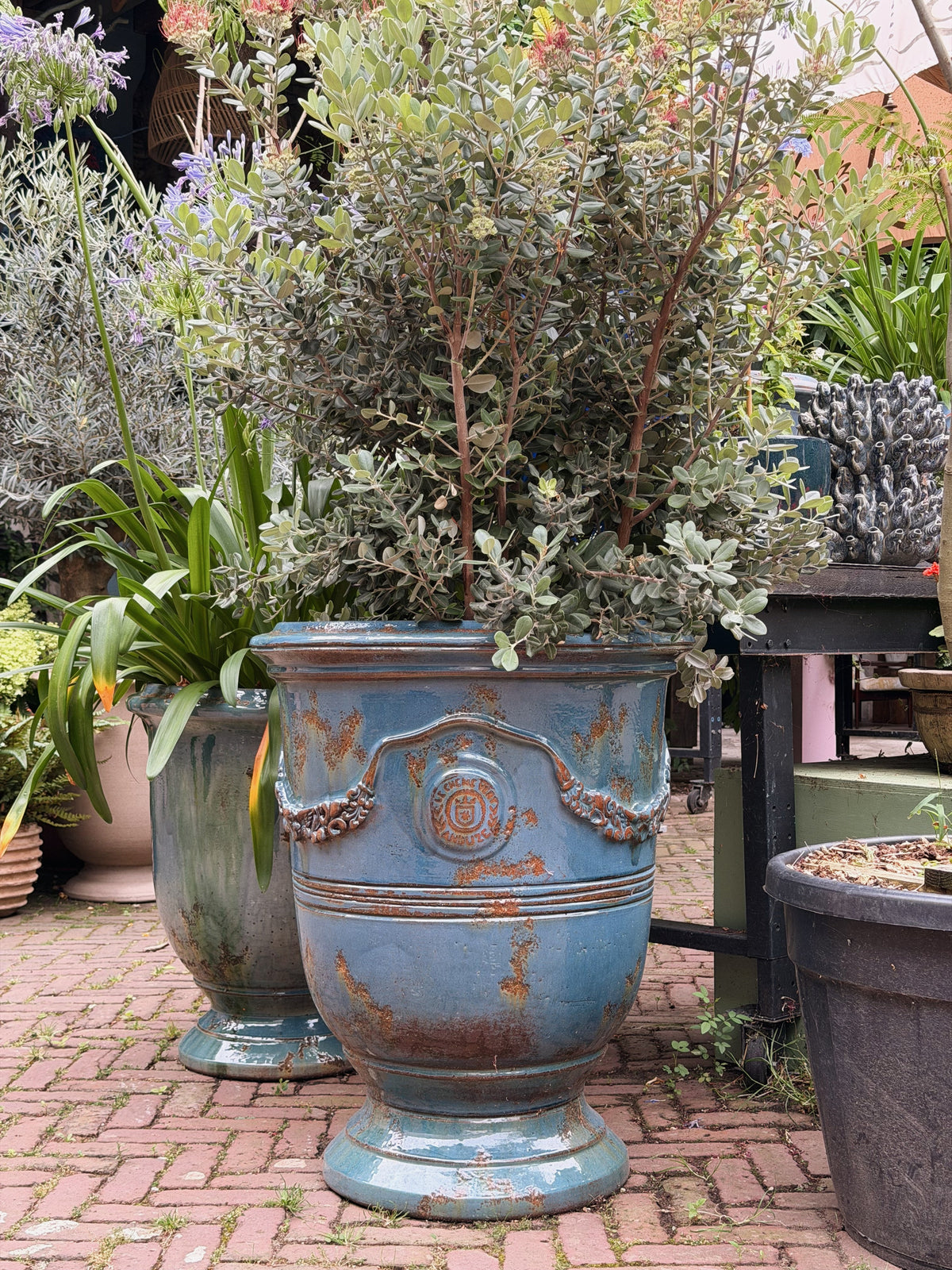 Blauwe Anduze-pot met roestige patina en rond medaillon, beplant met een zilverbladige heester