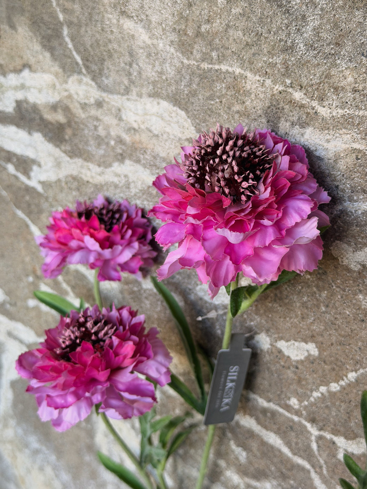 Drie roze bloemen met donkerrode harten en een grijs hanglabel tegen ruwe natuursteen