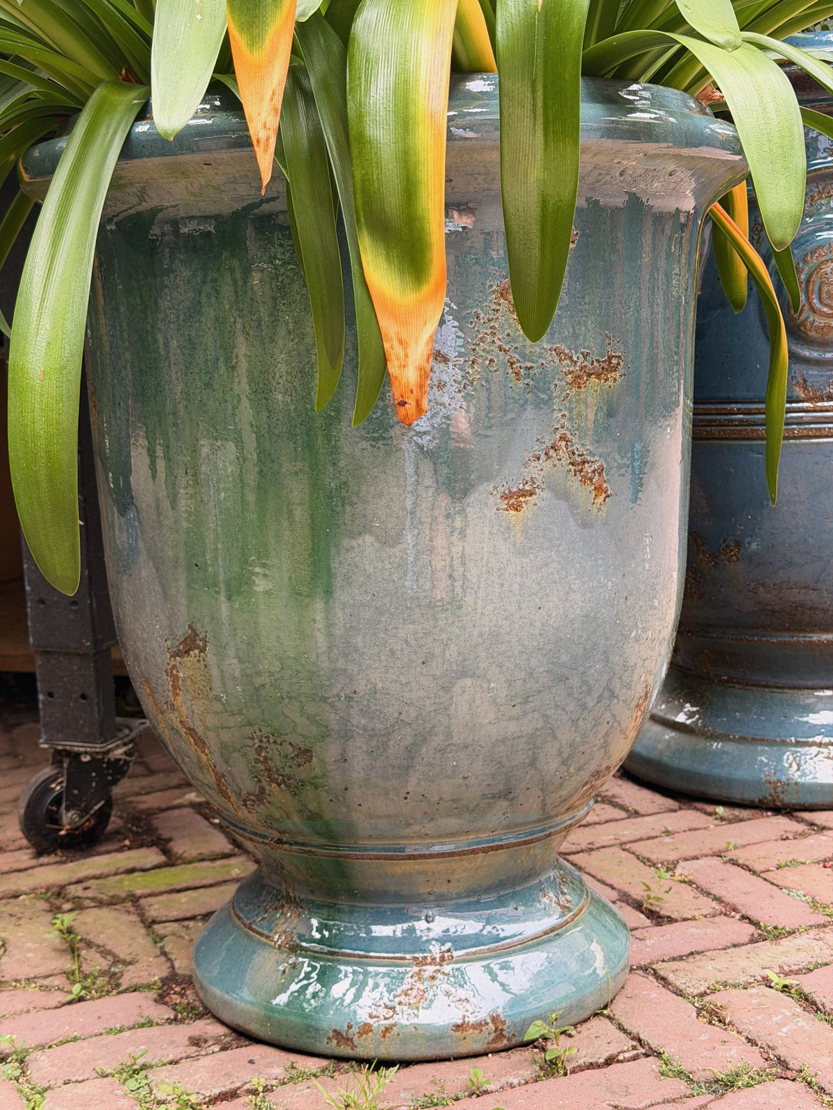 Groenblauw geglazuurde pot met overhangend agapanthusblad, close-up van de ronde voet