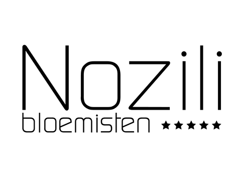 Nozili